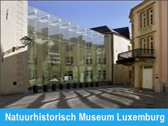 Natuurhistorisch Museum Luxemburg