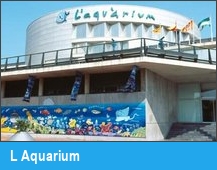 L Aquarium