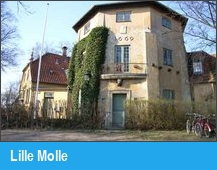 Lille Molle