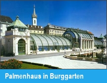 Palmenhaus in Burggarten