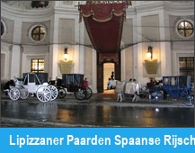 Lipizzaner Paarden Spaanse Rijschool