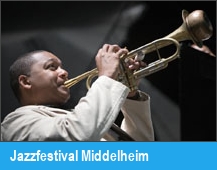 Jazzfestival Middelheim