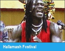 Hallamash Festival