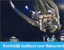 Koninklijk Instituut voor Natuurwetenschappen