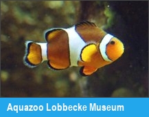 Aquazoo Lobbecke Museum