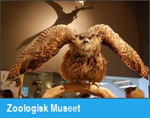 Zoologisk Museet
