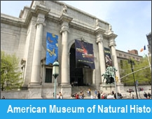 American Museum of Natural History