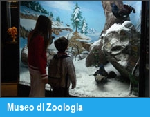 Museo di Zoologia