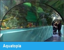 Aquatopia