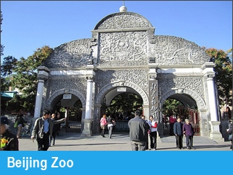 Beijing Zoo