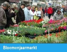 Bloemenjaarmarkt
