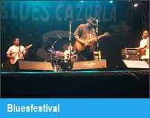 Bluesfestival