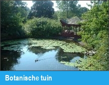 Botanische tuin