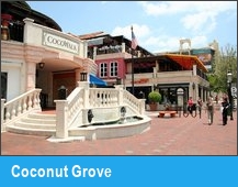 Coconut Grove