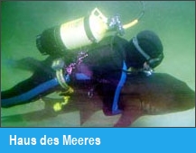 Haus des Meeres