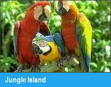 Jungle Island