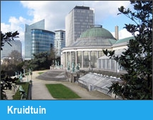 Kruidtuin