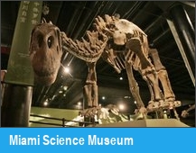 Miami Science Museum