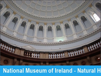 National Museum of Ireland - Natural History