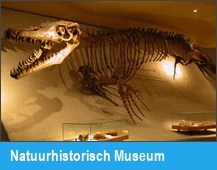 Natuurhistorisch Museum