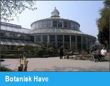 Botanisk Have