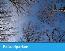 Fallaedparken