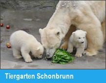Tiergarten Schonbrunn